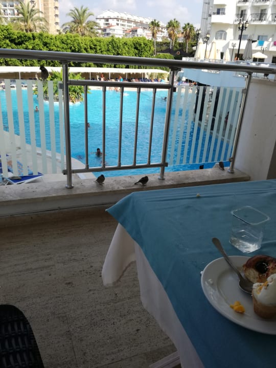 Gastro Serenis Hotel