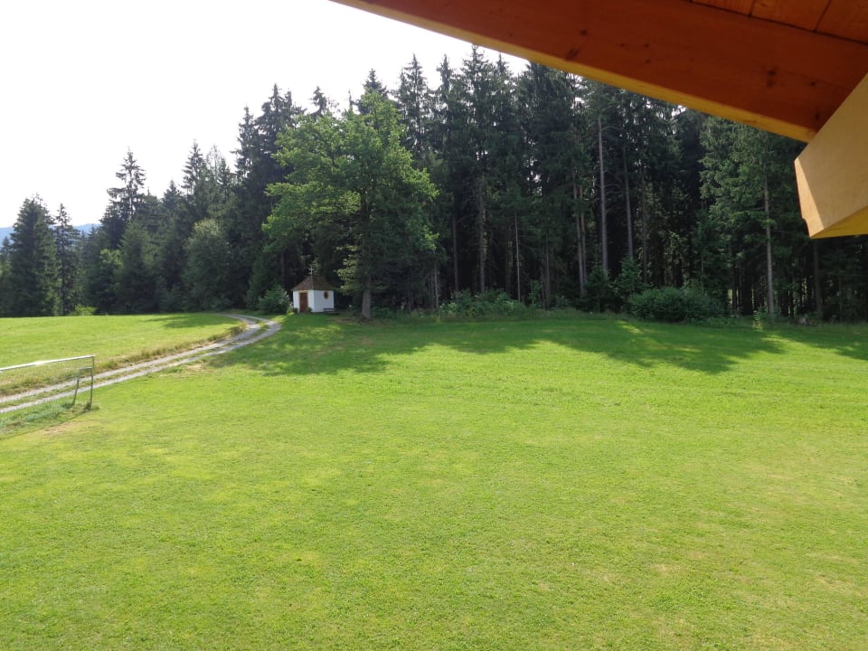 Fussballplatz direkt am Waldrand Erlebnisbauernhof Achatz