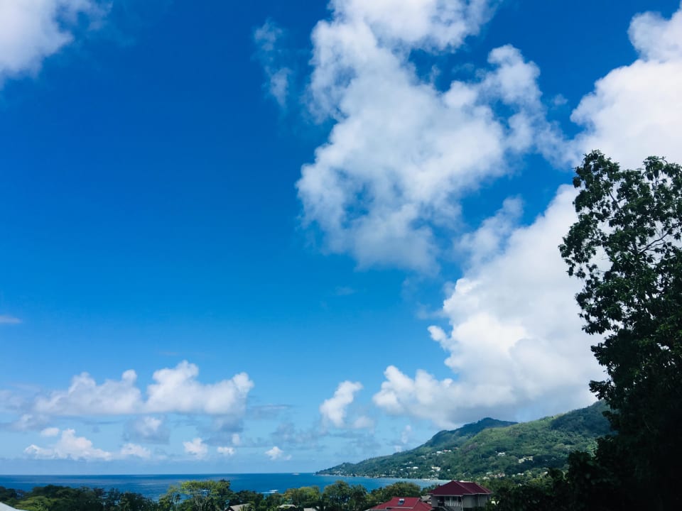 Ausblick Oceanic View Apartments