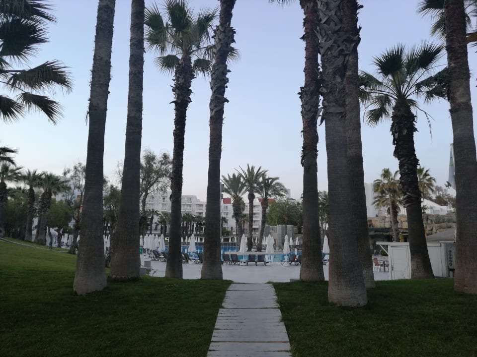 Pool Monachus Family Resort Sorgun