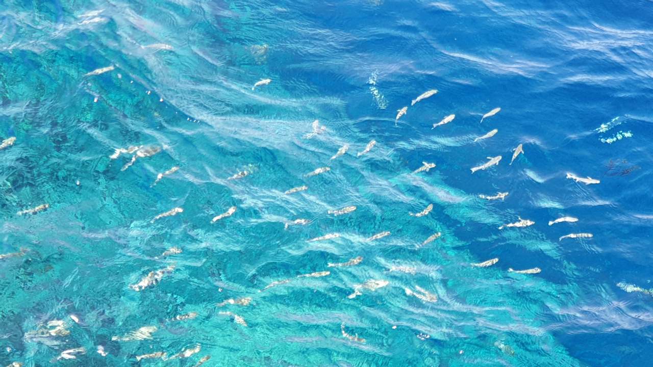 Sonstiges Lazuli Hotel Marsa Alam