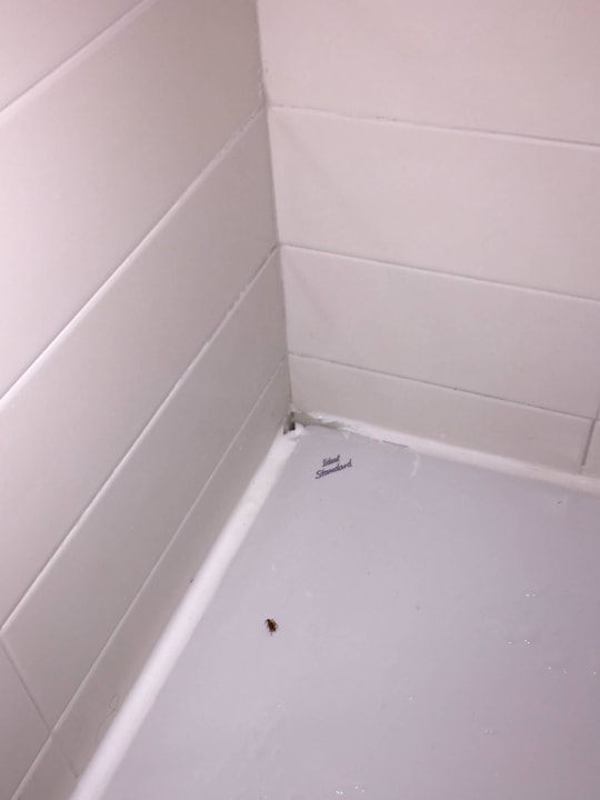 Duschwanna Villaggio Amare