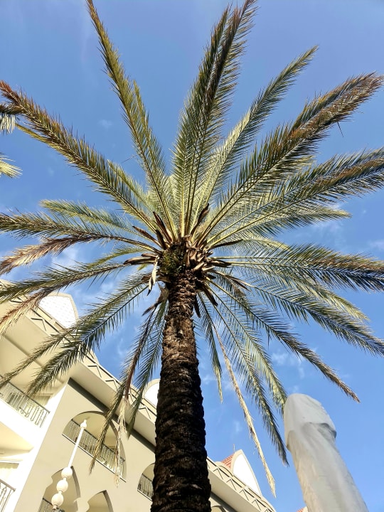 Gartenanlage Well Palace Side