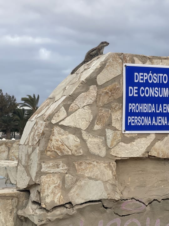 Strand SBH Costa Calma Beach Resort