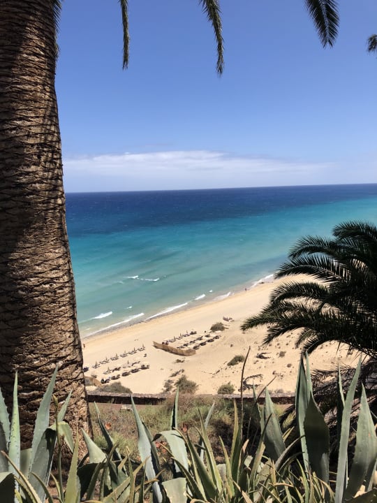 Strand ROBINSON ESQUINZO PLAYA