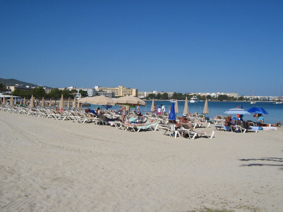 Strand mit Liegen Hotel Osiris