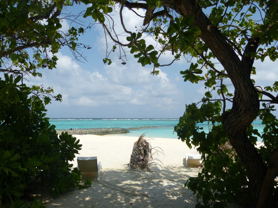 Superiorbungalow 227 Summer Island Maldives