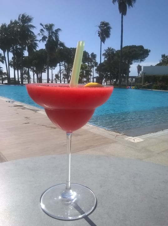 Gastro Acanthus Cennet Barut Collection