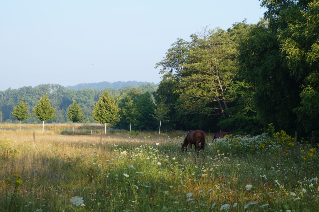 Gartenanlage Der Linslerhof - Hotel, Restaurant, Events & Natur