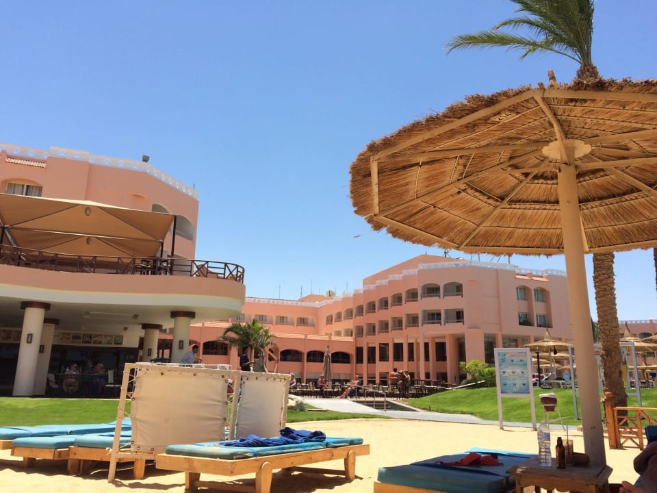 Blick vom Hotelstrand zur Terrasse  Beach Albatros Resort