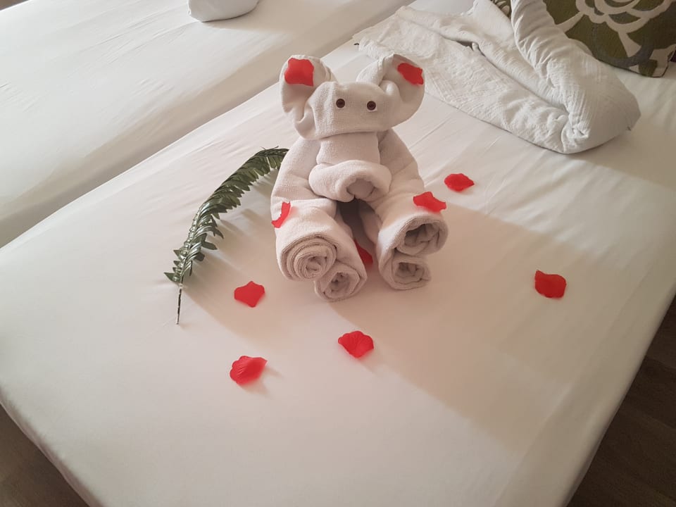 Zimmer Side Alegria Hotel & Spa - Adults only +16