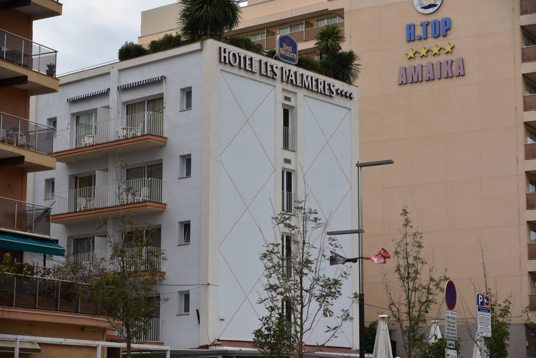 Von der Strandseite gesehen DWO Les Palmeres