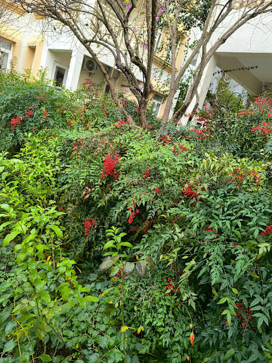 Außenansicht Side Village Hotel