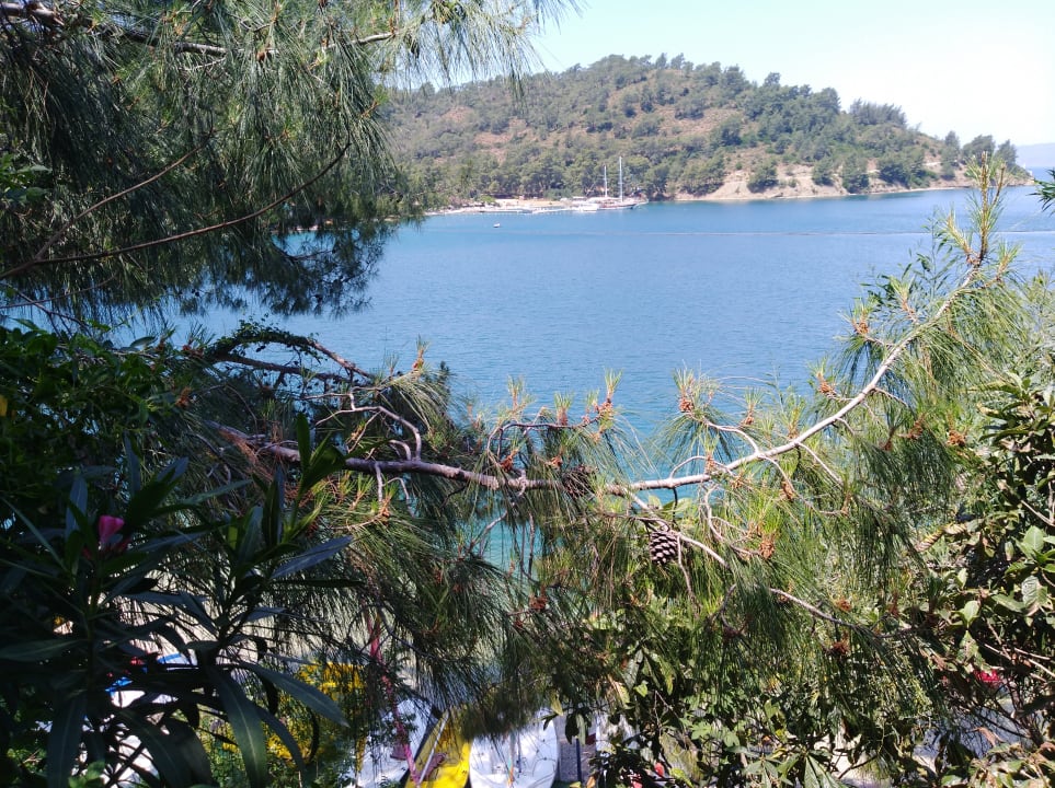 Ausblick Club & Hotel Letoonia