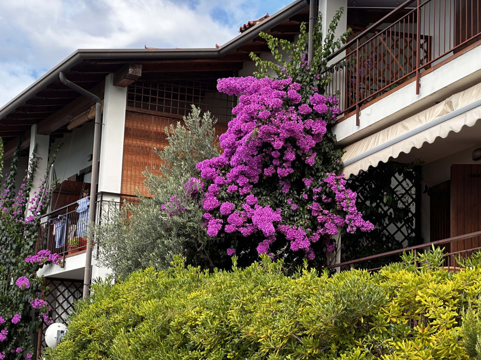 Außenansicht Kuschel's vistalago