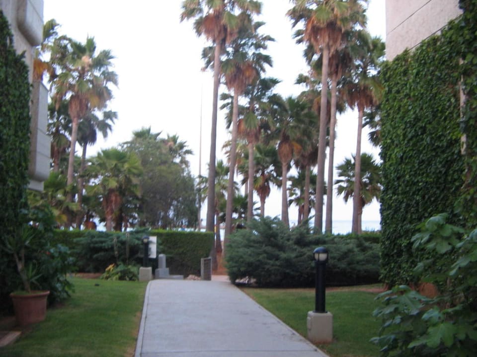 Unser Weg zum Strand Hipotels Mediterraneo Club