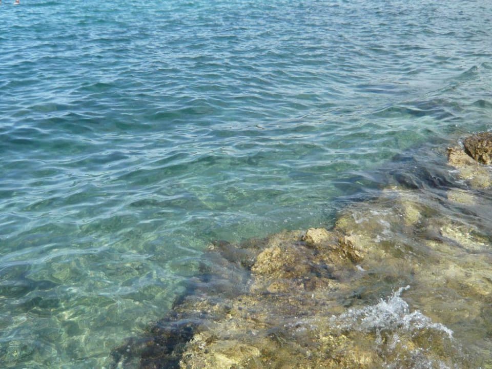 traumhaftes klares Wasser Maistra Select Funtana All Inclusive Resort