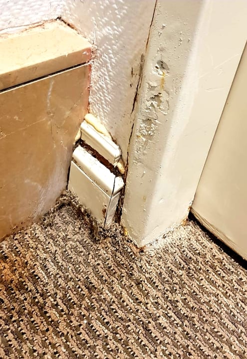 Zimmer Balmy Foresta