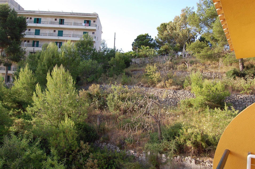 Ausblick nach rechts FLOR los Almendros Hotel