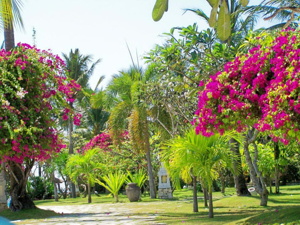 Palmengarten The Westin Resort Nusa Dua, Bali