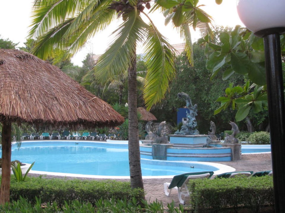 Palmen am Pool Hotel Riu Playacar