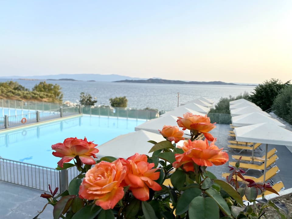 Pool Akrathos Beach Hotel