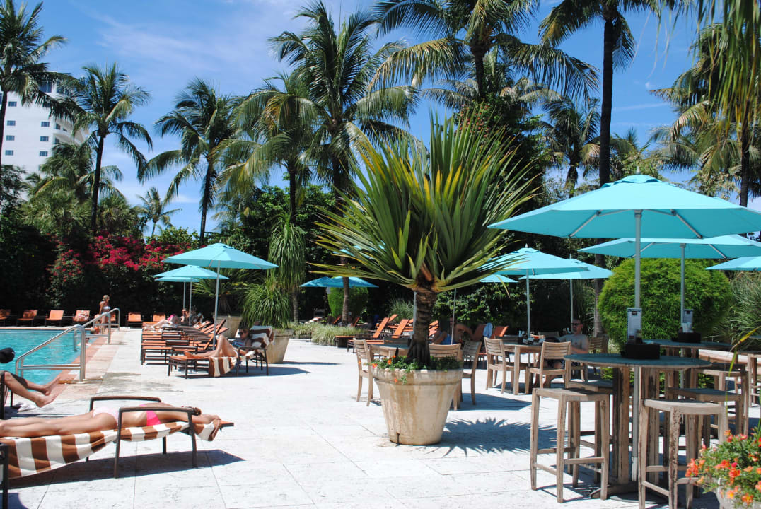 Der Pool The Palms Hotel & Spa