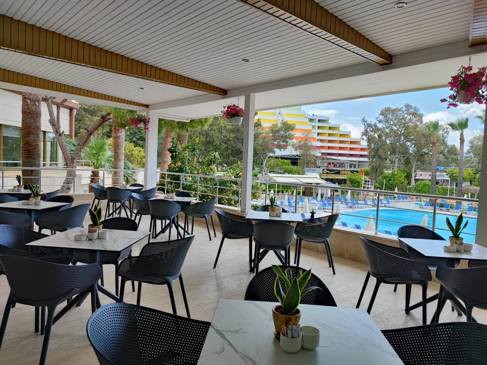 Gastro Asteria Collection Side