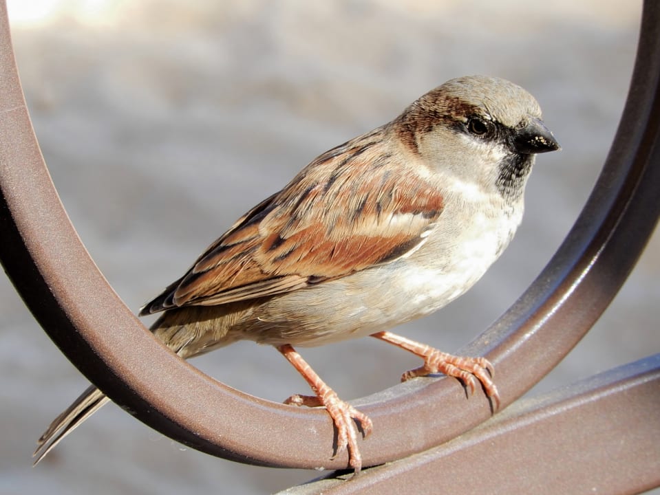 Sonstiges Steigenberger Aqua Magic