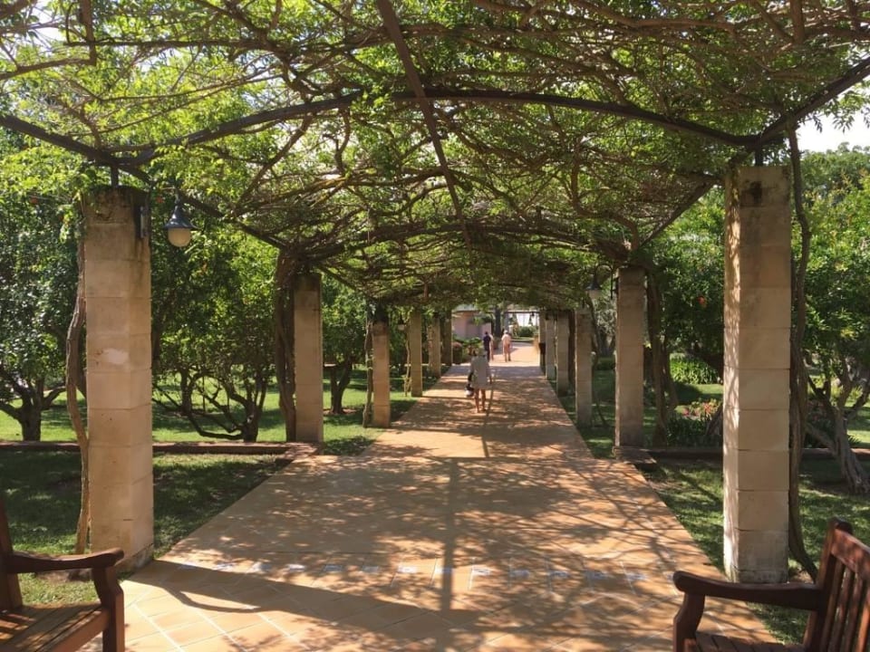 Ganz zum Pool/Bar Zafiro Mallorca