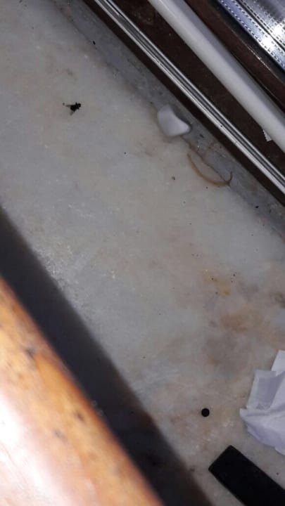 Restaurant Green Bay Resort & Spa