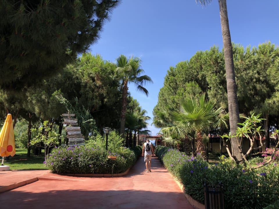 Gartenanlage Club Turtas Beach Hotel