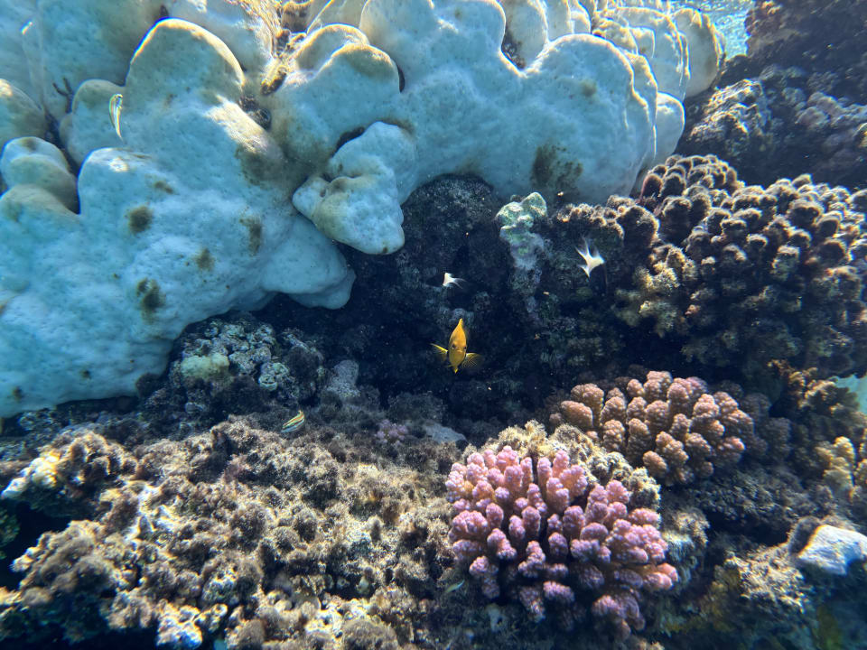 Gartenanlage Jaz Solaya