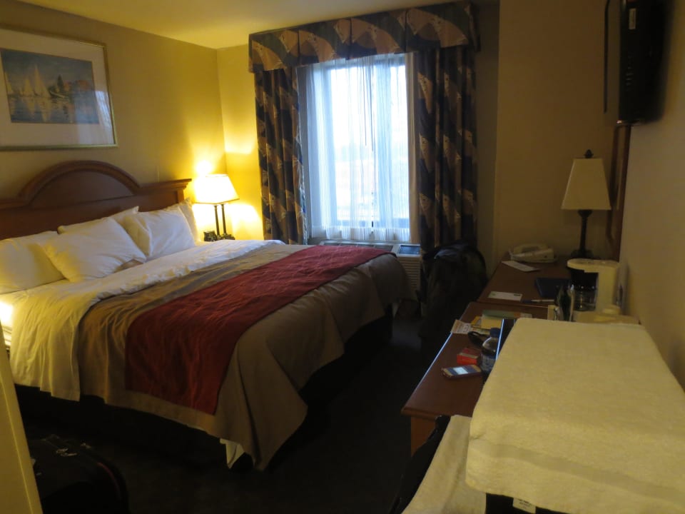 Bett Hotel Comfort Inn JFK Airport