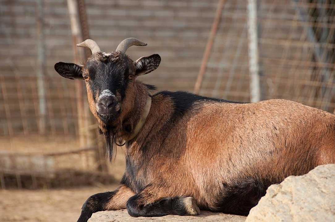 Arkadenhof Arkadenhof Familie Flasch
