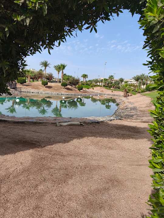 Strand Steigenberger Aqua Magic