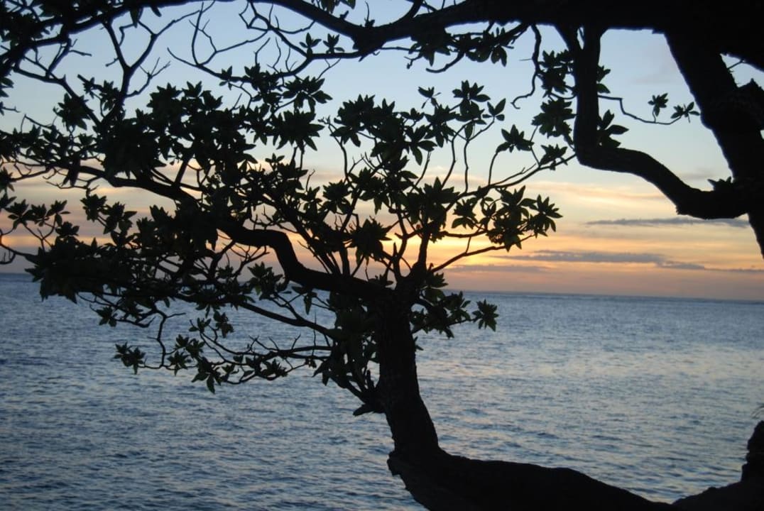 Закат. Warwick Fiji Hotel