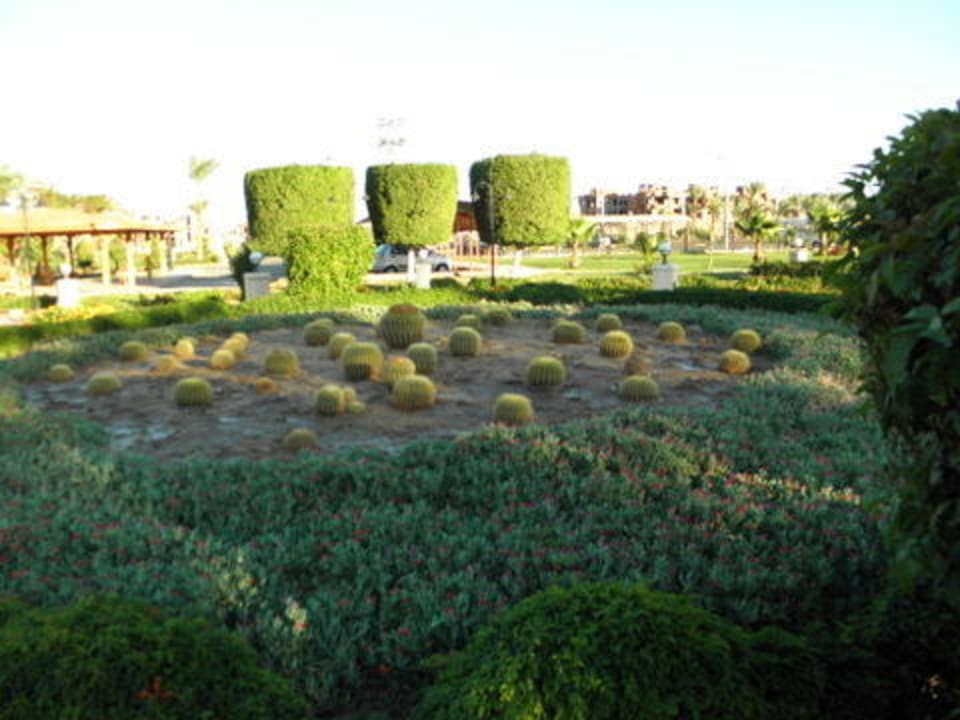 Mini parki przed hotelem Pickalbatros Alf Leila Wa Leila Resort - Neverland Hurghada