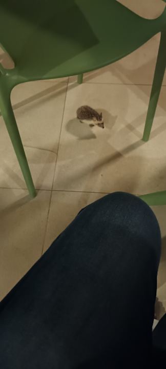 Sonstiges Hotel Riu Gran Canaria