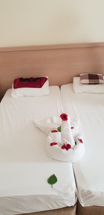 Zimmer Hotel Süral Resort
