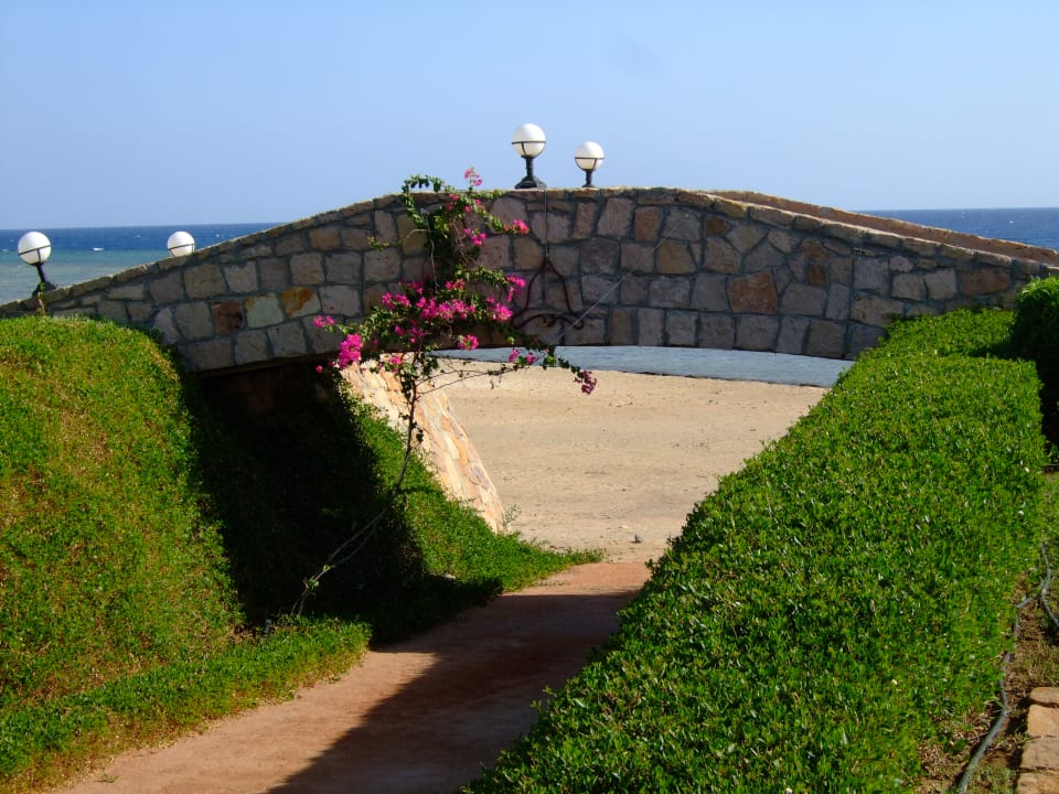 Gartenanlage Three Corners Equinox Beach Resort