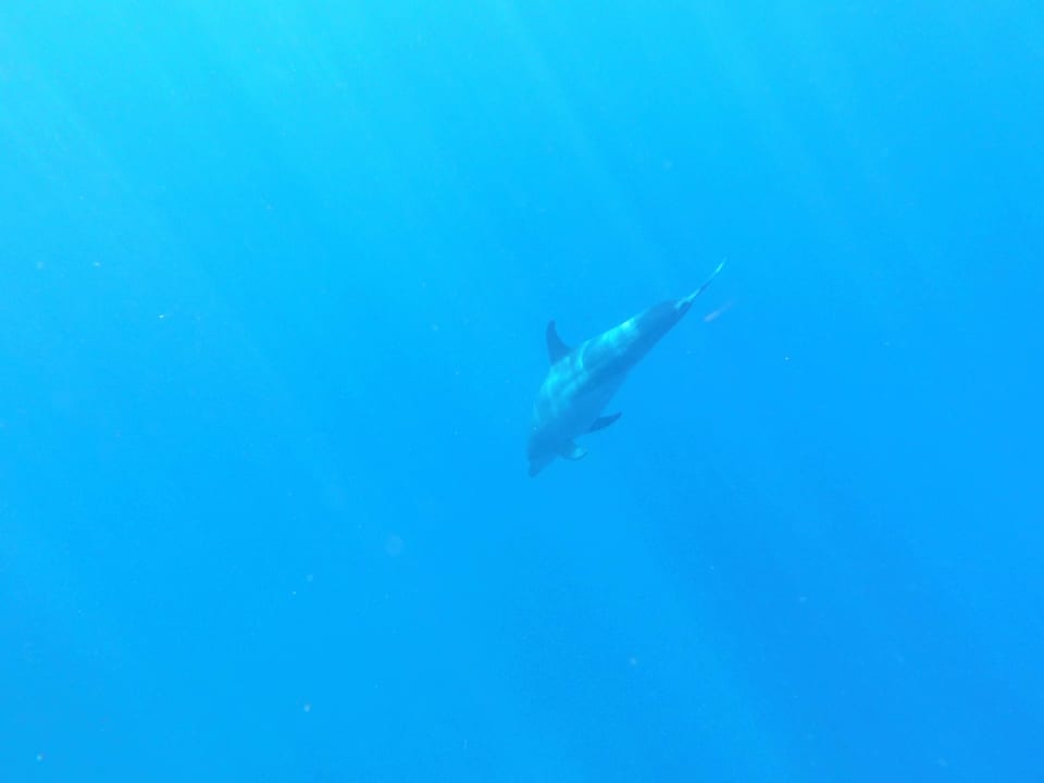 Sport & Freizeit Utopia Beach Club