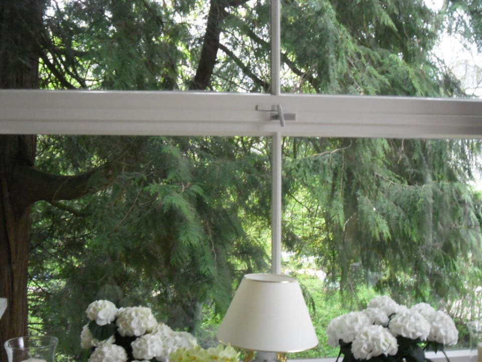 Blick aus dem Speisesaal Westpark Hotel