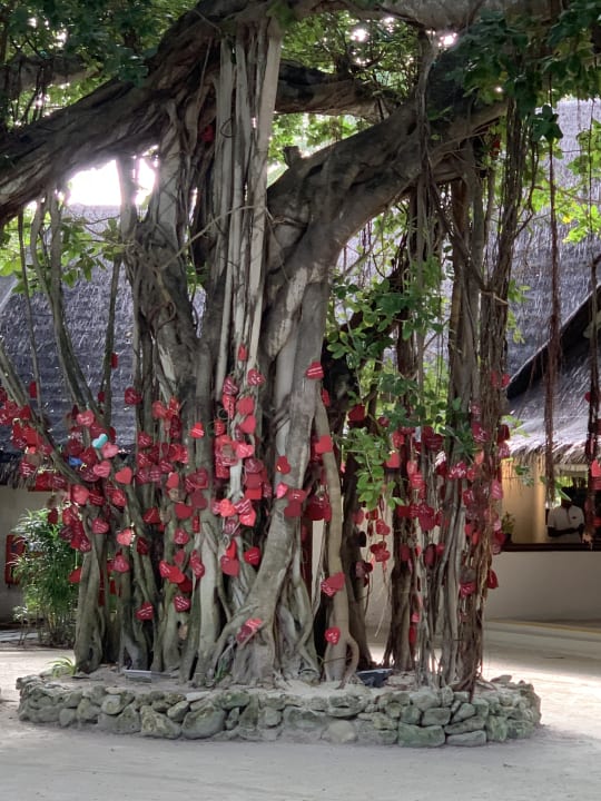 Außenansicht Adaaran Select Meedhupparu Island Resort - Premium All Inclusive