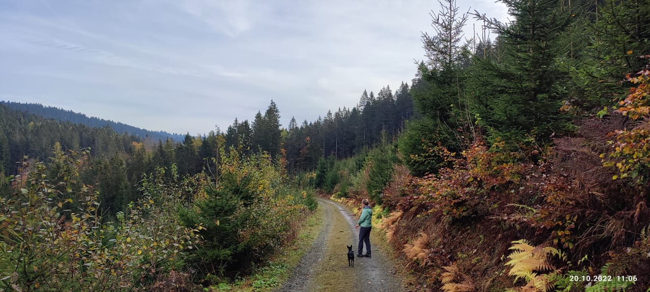 Ausblick Berghotel Hoher Knochen
