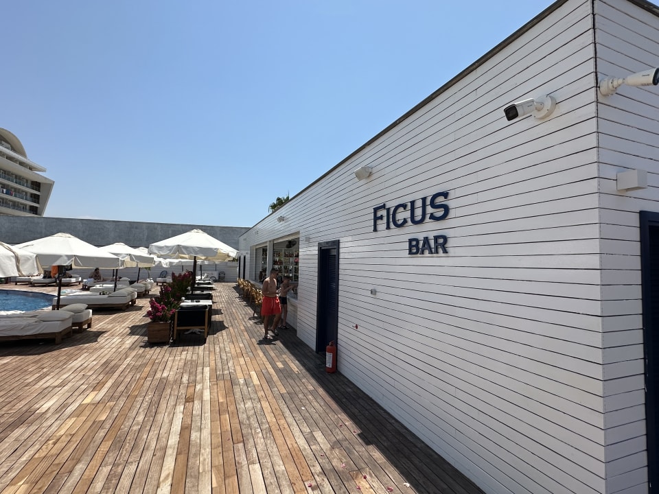 Gastro Rubi Platinum Sign