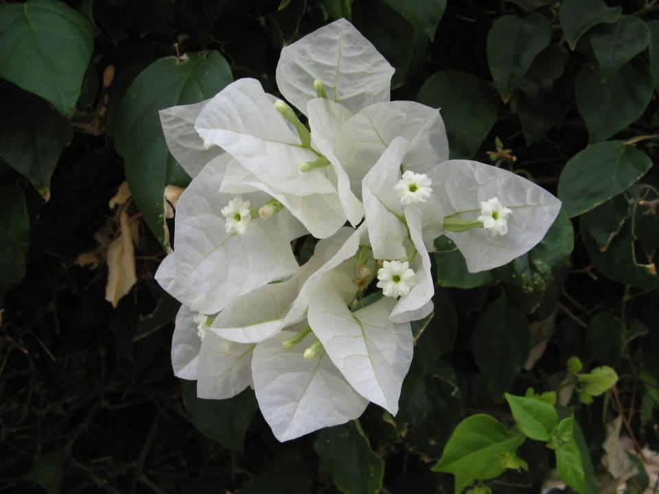 Im Hotel Happy Life Village Happy Life Village