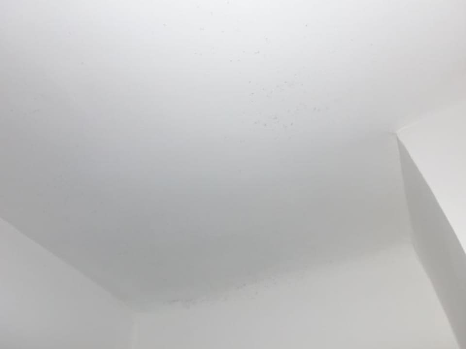 Schimmel Decke Bad Hotel Kiss Family