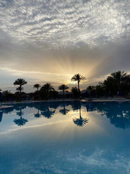 Außenansicht Desert Rose