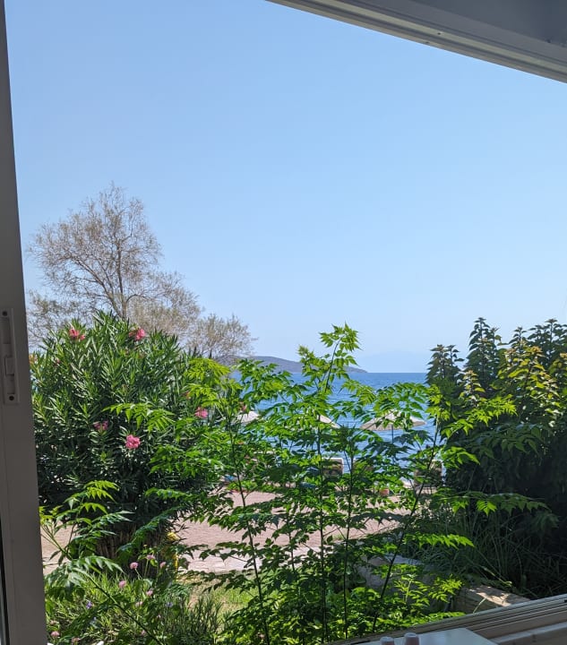 Ausblick Hotel Club Muskebi